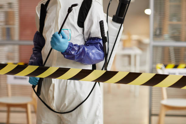 Professional Hoarding Cleanup technician working in Westley, CA
